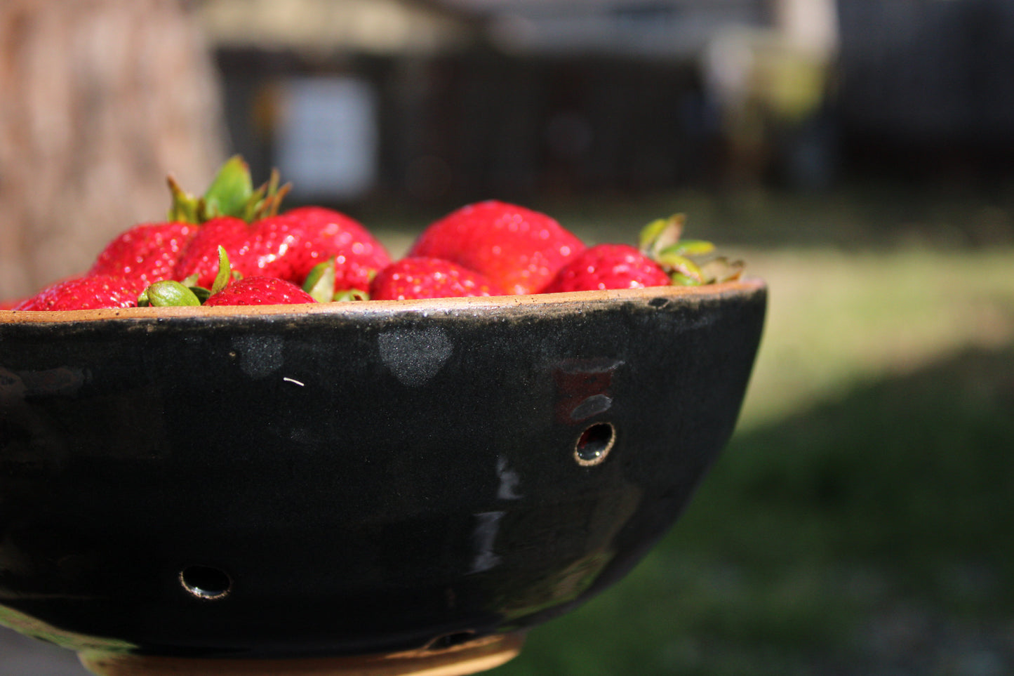 Berry Bowl