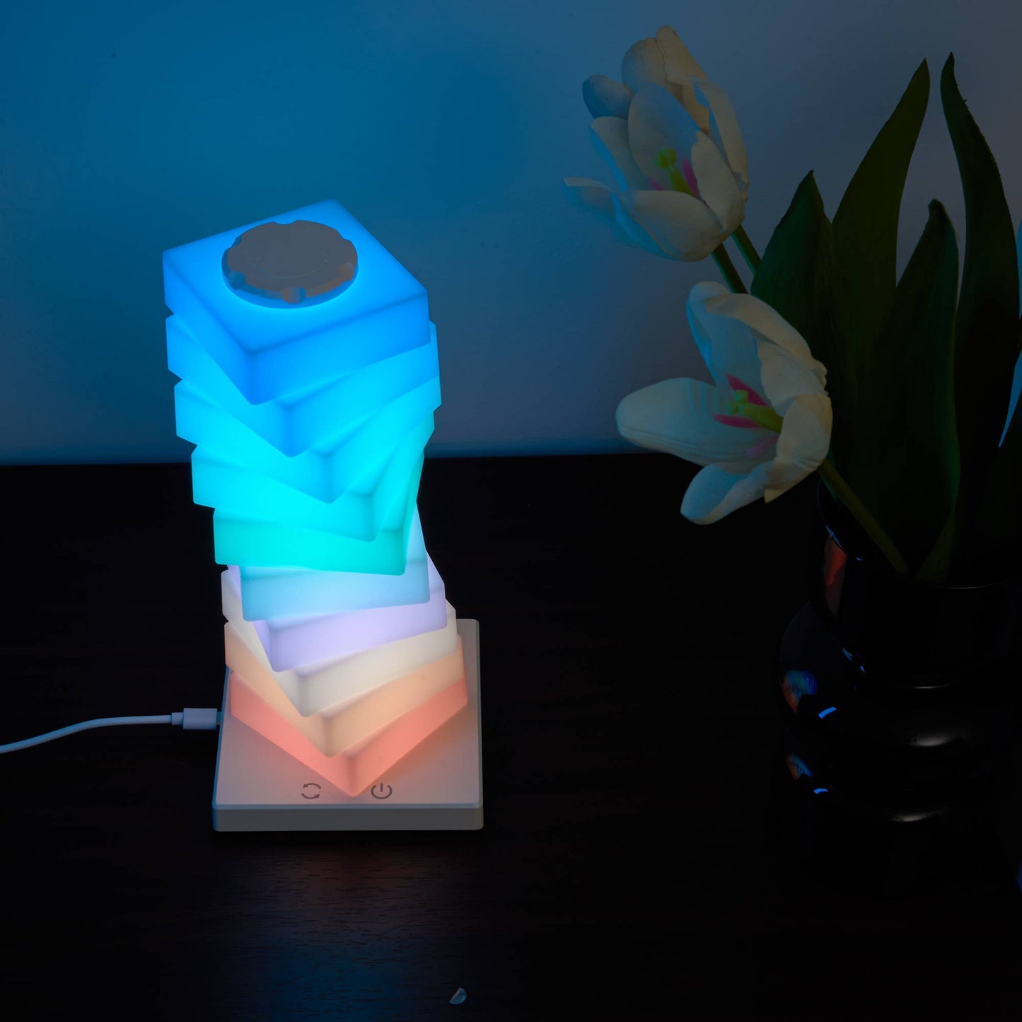 DIY Rotating Novelty Lamp